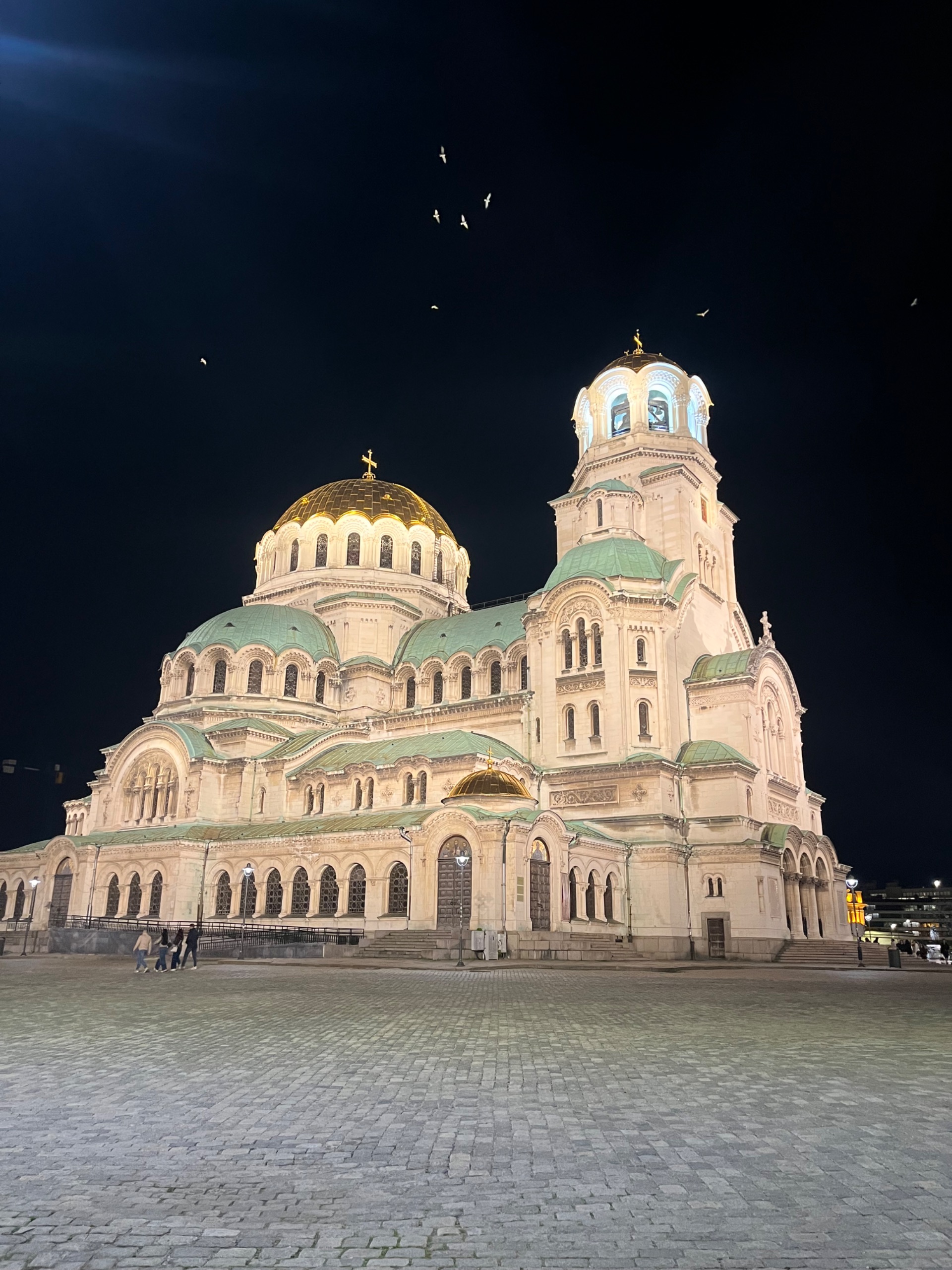 Митко пича